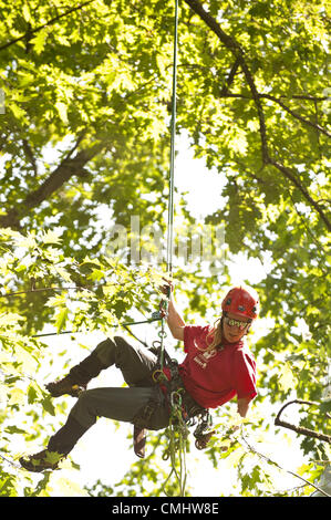 Agosto 12, 2012 - Portland, OR, Stati Uniti d'America - Svezia Veronika Ericsson discende da un alto edificio rosso quercia come partecipa - e vince - le donne della divisione nella fase finale del 2012 International Tree Climbing Championship. I partecipanti provenienti da tutto il mondo è andato testa a testa nel testare la loro abilità in arrampicata e soccorso. (Credito Immagine: © Ken Hawkins/ZUMAPRESS.com) Foto Stock