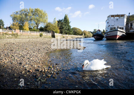 Twickenham, Regno Unito. Appena esposto il letto del fiume del Tamigi a Twickenham, come risultato del blocco di Richmond e stramazzo pescante. A causa di interventi di manutenzione annuale, il livello del Tamigi sopra Richmond lock non è mantenuta artificialmente ad un livello elevato durante la bassa marea, consentendo in tal modo l'acqua per caduta & esponendo il letto del fiume per le persone da esplorare. Credito: David Gee/Alamy Live News Foto Stock