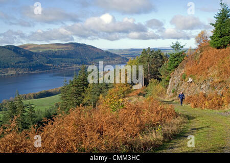 Dodd legno, dal lago di Bassenthwaite, nel distretto del lago, Cumbria, England Regno Unito, 4 novembre 2013. Una cresta di alta pressione dà calma, soleggiato e un viandante gode dei colori autunnali in la commissione forestale bosco a Dodd cadde, sopra il lago di Bassenthwaite. Ci sono diversi sentieri segnavia in legno, compreso il percorso al vertice, come mostrato qui di seguito. Credito: Julie friggitrice/Alamy Live News Foto Stock