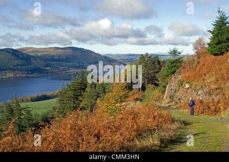 Dodd legno, dal lago di Bassenthwaite, nel distretto del lago, Cumbria, England Regno Unito, 4 novembre 2013. Una cresta di alta pressione dà calma, soleggiato e un viandante gode dei colori autunnali in la commissione forestale bosco a Dodd cadde, sopra il lago di Bassenthwaite. Ci sono diversi sentieri segnavia in legno, compreso il percorso al vertice, come mostrato qui di seguito. Credito: Julie friggitrice/Alamy Live News Foto Stock