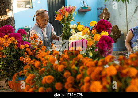 Un'anziana donna messicana organizza fiori presso il recinto di una persona cara al riccamente decorate San Antonillo Castillo Velasco cimitero durante il Giorno dei Morti Festival noto in spagnolo come d'un de Muertos il 3 novembre 2013 in Ocotlan, Oaxaca, Messico. Il cimitero è un concorso per il miglior decorata tomba. Foto Stock