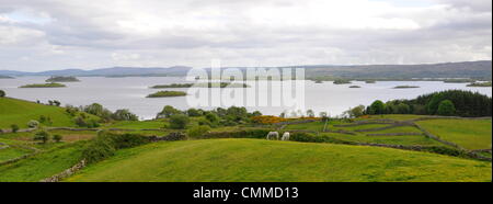 Molti piccola isola sono sparsi in Lough Corrib vicino Cong, nella contea di Galway, foto scattata il 2 giugno 2013. L'Irlanda occidentale è punteggiata con molti laghi, il più grande di questi è il Lough Corrib copre un area di circa 175 chilometri quadrati. È stato detto che ci sono 365 isole del Lough Corrib e circa dieci di queste isole sono abitate oggi. I tipici muri in pietra a secco in Irlanda (in primo piano) sono realizzati senza malta o cemento. Essi vennero in esistenza come la terra in molte parti d'Irlanda è molto pietrosa e così sono stati utilizzati per la costruzione di pareti per creare divisioni separate di terra che potrebbe essere fa Foto Stock