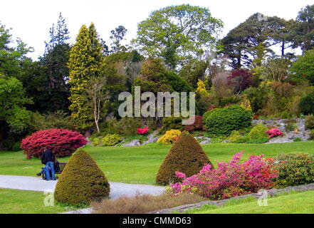 I giardini di Muckross House sono celebri per la loro raffinata collezione di azalee e rododendri in fiore durante il mese di maggio, foto scattata il 27 maggio 2013. Muckross House e giardini sono situati nel mezzo di uno spettacolare scenario del Parco Nazionale di Killarney nella Contea di Kerry, che è stato designato come una Riserva della Biosfera nel 1981 dall'UNESCO. Molti alberi esotici e cespugli fioriscono nel clima mite e posizione riparata di Muckross giardini. Muckross House e giardini sono supposti per essere uno di Irlanda più popolari attrazioni turistiche. Foto: Frank Baumgart Foto Stock