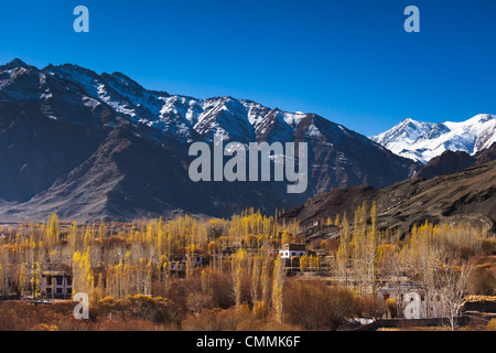 Autunno scena al Stok village con la Snow capped picco di Stok Kangri incombente in background. Foto Stock