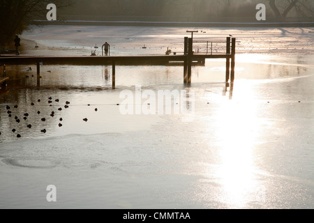 Nuotatore immettendo un icebound Highgate Mens Laghetto, Hampstead Heath, HIghgate, London, Regno Unito Foto Stock