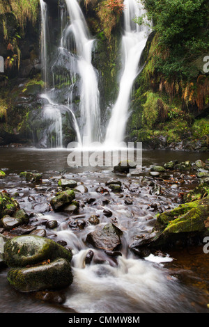 Posforth Gill cascata, Bolton Abbey, nello Yorkshire, Inghilterra, Regno Unito, Europa Foto Stock