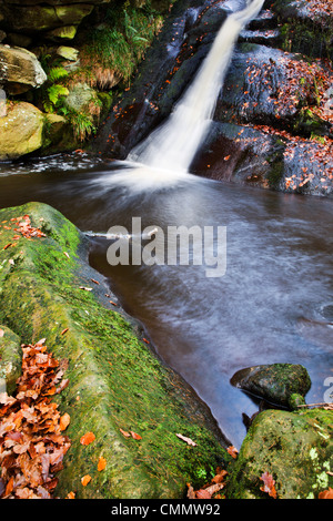 Cascata superiore a Posforth Gill, Bolton Abbey, nello Yorkshire, Inghilterra, Regno Unito, Europa Foto Stock