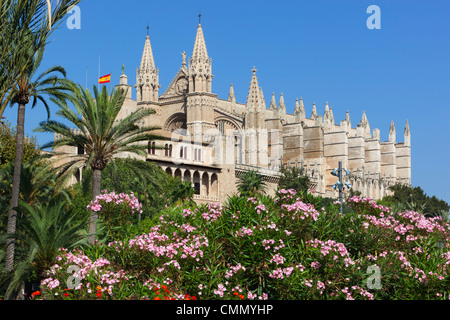 La cattedrale di Palma (La Seu), Palma de Mallorca, Mallorca (La Maiorca, isole Baleari, Spagna, Mediterraneo, Europa Foto Stock