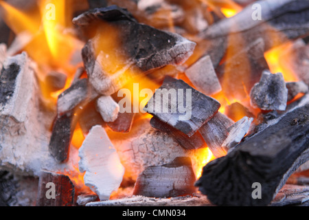 Decadendo carboni rossi di un albero in un incendio Foto Stock