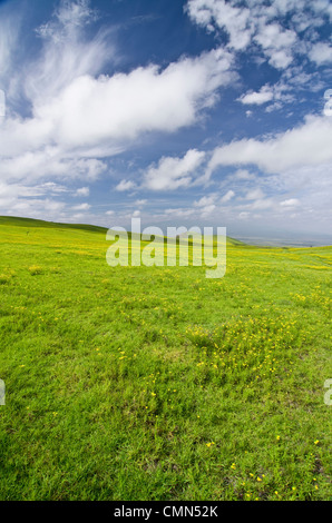 Stati Uniti d'America, Hawaii, Hawai'i, S. Kohala distretto. Verdi colline di Parker Ranch rangeland da Hy 200 Sella strada.. Foto Stock