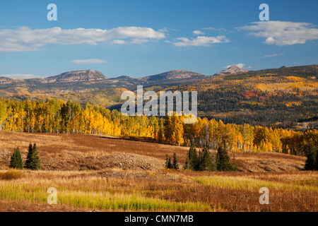Utah; Uintah National Forest, Bacino di pietra ollare Foto Stock