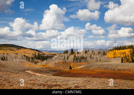 Utah; Uintah National Forest, Bacino di pietra ollare Foto Stock