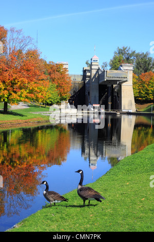 Peterborough bloccaggio sollevamento Sito Storico Nazionale con Oche del Canada Foto Stock