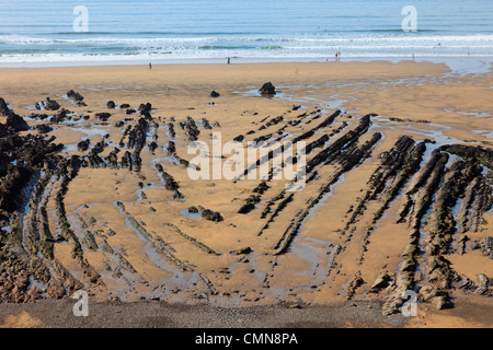 Erosi roccia verticale pieghe del Bude formazione esposta sulla spiaggia con la bassa marea a Bude Bay, Cornwall, England, Regno Unito Foto Stock