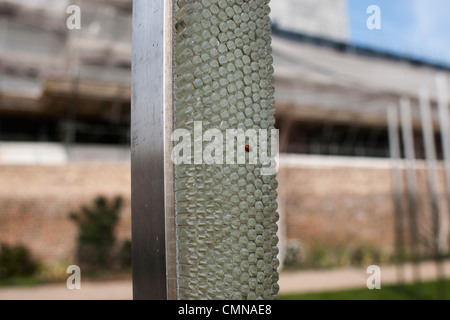 Una coccinella esplora un arte di installazione chiamato vena da Tim Morgan, nella motivazione la Royal Opera House site a Thurrock, Essex. Foto Stock