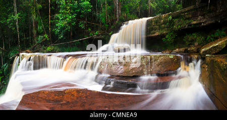 Gulik cade, il bordo del sud dell'altopiano, Maliau Basin. Sabah del " Mondo Perduto", Borneo. Foto Stock