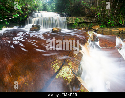 Gulik cade, il bordo del sud dell'altopiano, Maliau Basin. Sabah del " Mondo Perduto", Borneo. Foto Stock