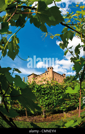 Italia Piemonte Langhe Grinzane Cavour il castello Foto Stock