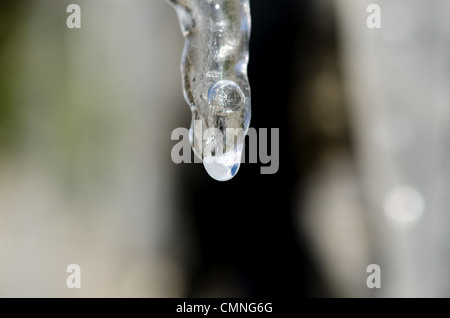 Stalattiti di ghiaccio con acqua scende al di sotto di un tetto Foto Stock