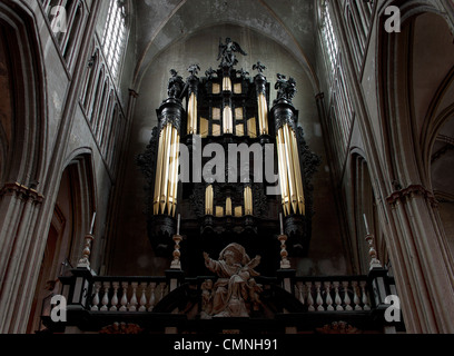 Organo, Saint Salvator cattedrale, Bruges Foto Stock