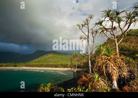 Vista della spiaggia di Myall durante la mattina la tempesta di pioggia. Cape Tribulation, Parco Nazionale Daintree, Queensland, Australia Foto Stock