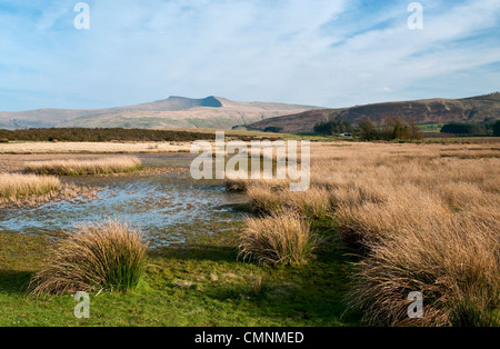 Paesaggio del Parco Nazionale di Brecon Beacons Galles mostra Pen y la ventola e il mais Du montagne Foto Stock
