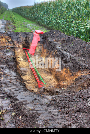 Riparare alcuni danni cavi di energia elettrica in un campo di mais. Foto Stock