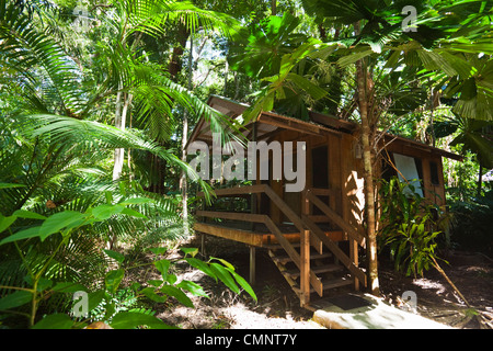 Cabina della foresta pluviale a PK giungla del villaggio. Cape Tribulation, Parco Nazionale Daintree, Queensland, Australia Foto Stock