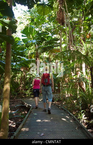 Gli escursionisti a piedi attraverso un licuala foresta di palme sulla Dubuji Boardwalk. Parco Nazionale Daintree, Queensland, Australia Foto Stock