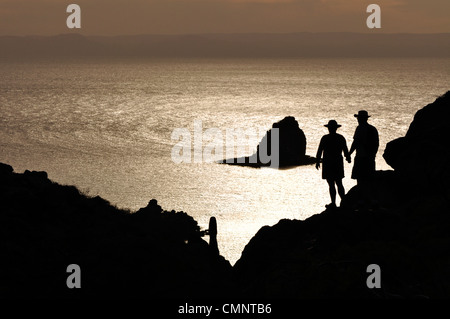 Giovane stagliano contro il mare di Cortez, Espiritu Santo Isola, Baja California, Messico. Foto Stock