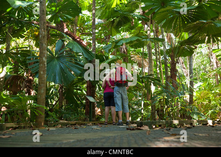 Gli escursionisti a piedi attraverso un licuala foresta di palme sulla Dubuji Boardwalk. Parco Nazionale Daintree, Queensland, Australia Foto Stock