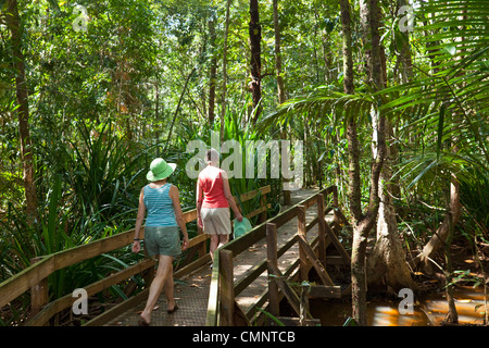 I turisti a piedi attraverso le zone umide foresta pluviale sulla Dubuji Boardwalk. Parco Nazionale Daintree, Queensland, Australia Foto Stock