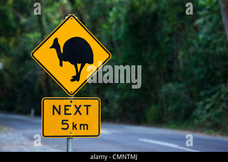 Casuario segno di attraversamento. Parco Nazionale Daintree, Daintree, Queensland, Australia Foto Stock