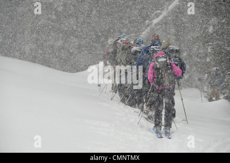 Gruppo di sciatori backcountry che viaggiano in tempesta di neve, Wallowa Mountains, Oregon. Foto Stock