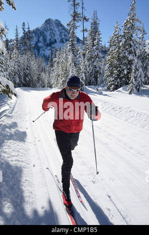 Sci nordico a Anthony Laghi Nordic Center in Oregon la Elkhorn montagne. Foto Stock