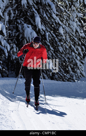 Sci nordico a Anthony Laghi Nordic Center in Oregon la Elkhorn montagne. Foto Stock