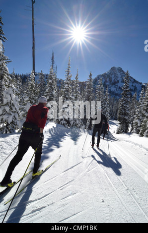 Sci nordico a Anthony Laghi Nordic Center in Oregon la Elkhorn montagne. Foto Stock