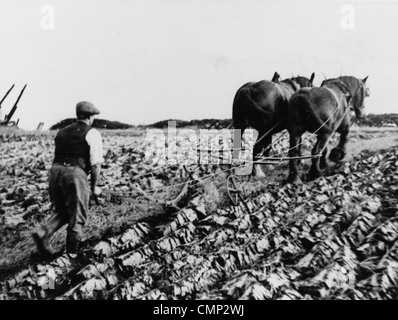 Mount Farm, Penn, 1930s. Un plowman dal nome del sig. Prezzo, arando un campo sulla fattoria nel 1930s. Foto Stock