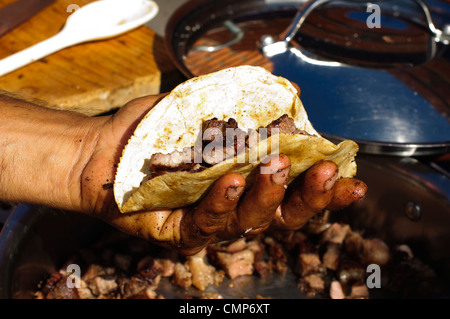 Carne Asada taco tenuto in una mano, preparati di fresco in un ranch in Messico Foto Stock