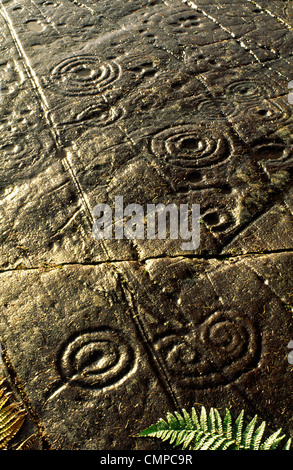 Coppa di epoca preistorica e tacca di pietra scolpita arte rock affioramento a Achnabreck, Kilmartin Valley, Argyll, Scozia occidentale, REGNO UNITO Foto Stock