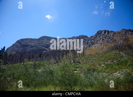 Montagne e natura intorno a Franschhoek nella Western Cape - Sudafrica Foto Stock