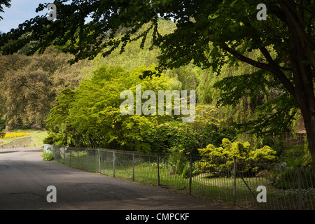 Regno Unito Galles, Swansea, Cwmdonkin Park Foto Stock