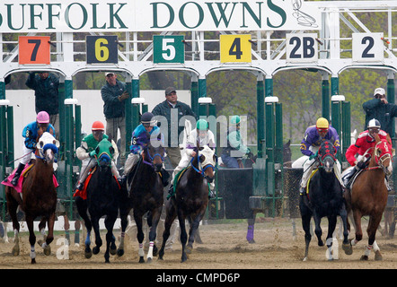 Cavalli lascino il gate a Suffolk Downs, a Boston, Massachusetts Foto Stock