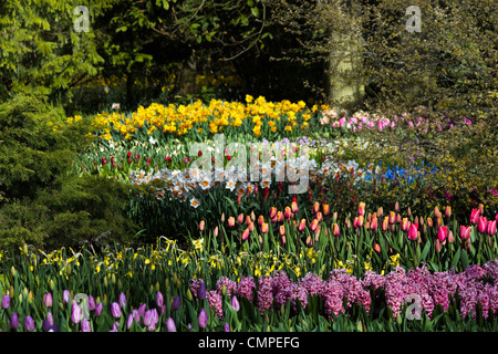Vista su fiori di primavera in tutte le forme e colori in giardino Foto Stock
