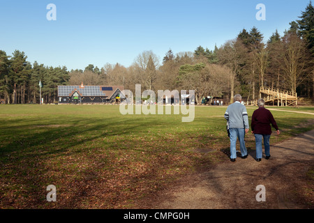 La gente camminare a Thetford Forest Park di proprietà della Commissione Forestale, Thetford Forest, Norfolk, Inghilterra, Regno Unito Foto Stock