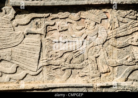 pannello di bassorilievo di un guerriero di Chichen Itza Yucatan Messico | CHICHÉN ITZÁ, Yucatán, Messico — Un pannello a bassorilievo su un muro di piattaforma raffigura una figura piumata, probabilmente un guerriero o una divinità, che indossa un copricapo a forma di ventaglio con tracce di pigmento ancora visibili tra ampie forme serpentine. I pannelli che combinano attori umani con immagini di serpenti piumati riflettono la sintesi maya-tolteca che ha trasformato l’architettura monumentale di Chichen Itza a partire dal periodo classico terminale. Foto Stock