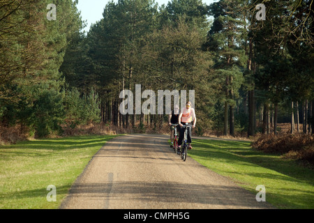 Un paio di escursioni in bicicletta sulla strada a Thetford Forest, NORFOLK REGNO UNITO Foto Stock