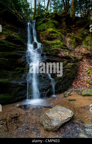 Warwoman Creek Falls sono situati su warwoman creek appena ad ovest dell'estremità dell'area pic-nic in warwoman dell. Essi possono essere raggiunti da un relativamente breve sentiero del piede dall'area picnic. Pur non essendo una grande cascata, è un luogo molto pittoresco come tutta la zona di warwoman dell è molto rigogliosa. parte di bartram creek trail si snoda attraverso questa zona. Durante la primavera è un posto meraviglioso per trascorrere la giornata come è noto per la sua varietà di fiori selvatici. Anche nella zona a nord sulla bartram creek trail sono becky ramo e martin creek falls, due delle molte belle cascate nella contea di rabun, ga. Foto Stock