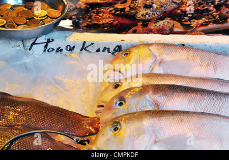 Pesce fresco a Hong Kong mercato umido Foto Stock