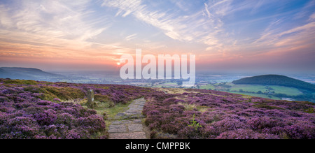 Tramonto sul modo di Cleveland vicino Faceby, North Yorkshire Moors, nello Yorkshire, Inghilterra, Regno Unito, Europa Foto Stock